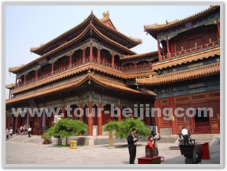 Beijing Hutong Olympic Sites Bus Tour